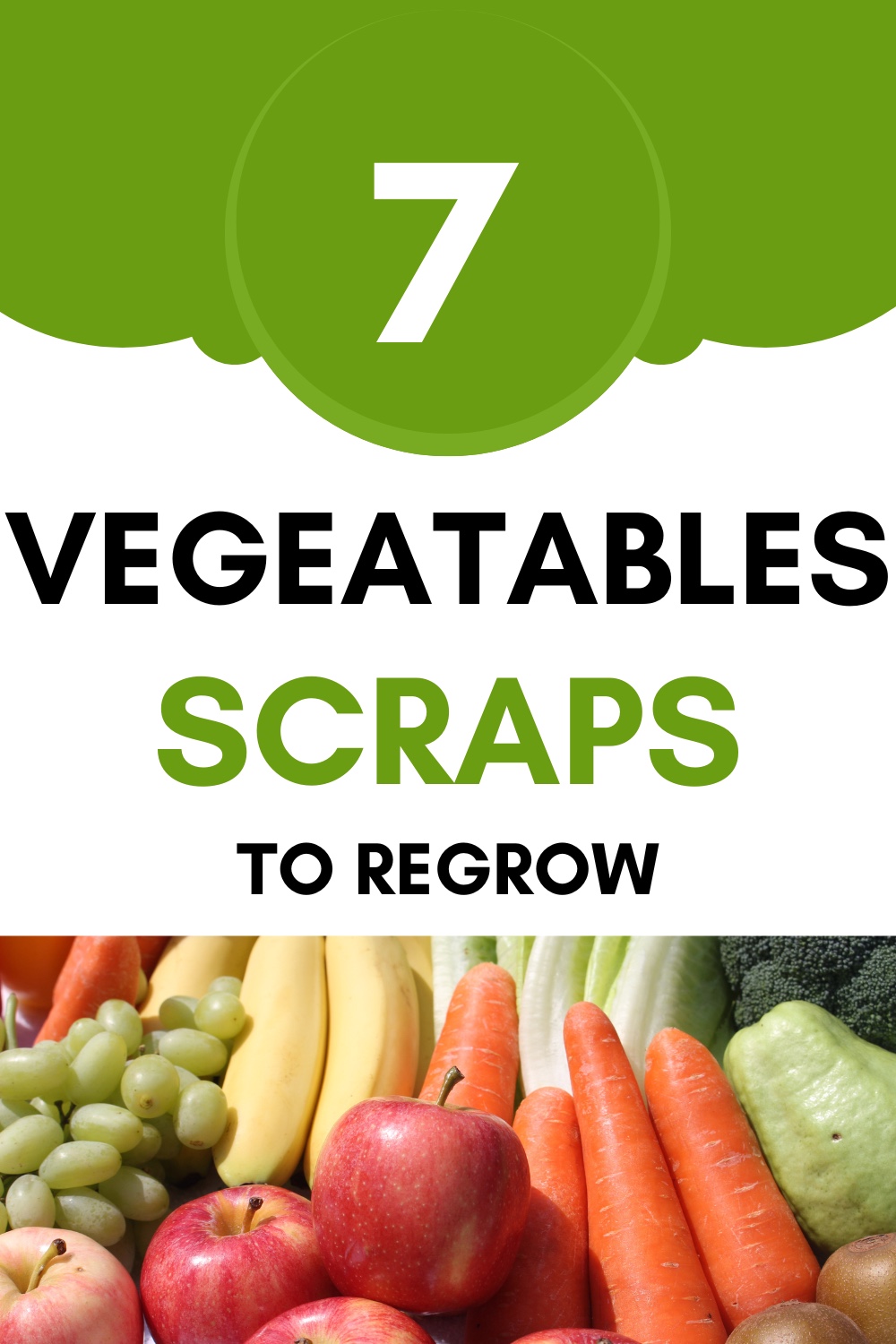  7 Vegetable Scraps You Can Regrow